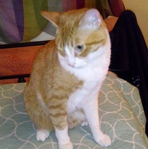 Meet your Posher, Kimberly ann